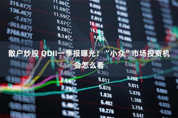 散户炒股 QDII一季报曝光！“小众”市场投资机会怎么看