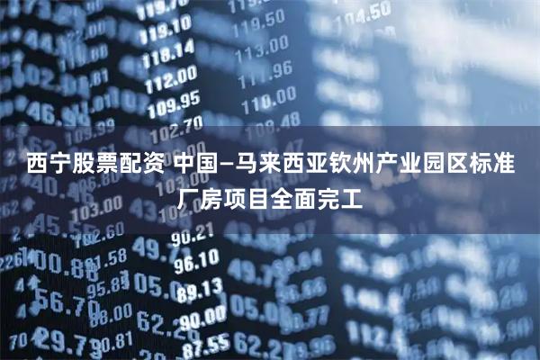 西宁股票配资 中国—马来西亚钦州产业园区标准厂房项目全面完工