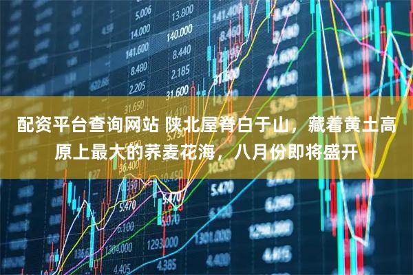 配资平台查询网站 陕北屋脊白于山，藏着黄土高原上最大的荞麦花海，八月份即将盛开