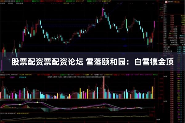 股票配资票配资论坛 雪落颐和园：白雪镶金顶